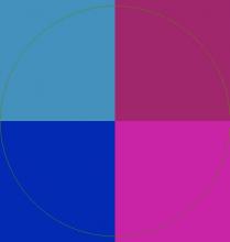 Eligo et ludus magna natu paratus sed suscipit validus velit.